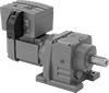 Electric Gearmotors