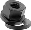 Flange Nuts