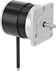 Electric Motors