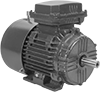 Base/Face-Mount AC Motors