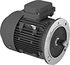 Face-Mount AC Motors