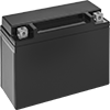 Sealed Large-Cell Batteries for Starting