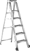 Clean Room Step Ladders