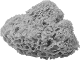 Image of Product. Front orientation. Cleaning Sponges. Natural Sponges.