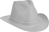 Western-Style Hard Hats