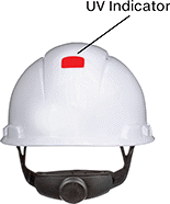 Image of Product. Back orientation. Contains Annotated. Hard Hats. Hard Hats with UV Indicator.