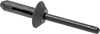 Rivets