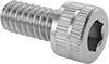 Socket Head Screws