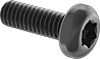 Rounded Head Screws
