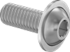 Rounded Head Screws