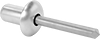 Aluminum Domed Head Sealing Blind Rivets