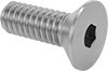 Flat Head Screws